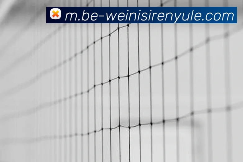 威尼斯人线上娱乐发展历程